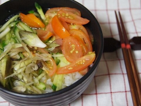 夏野菜★冷や汁 （ミニ丼）